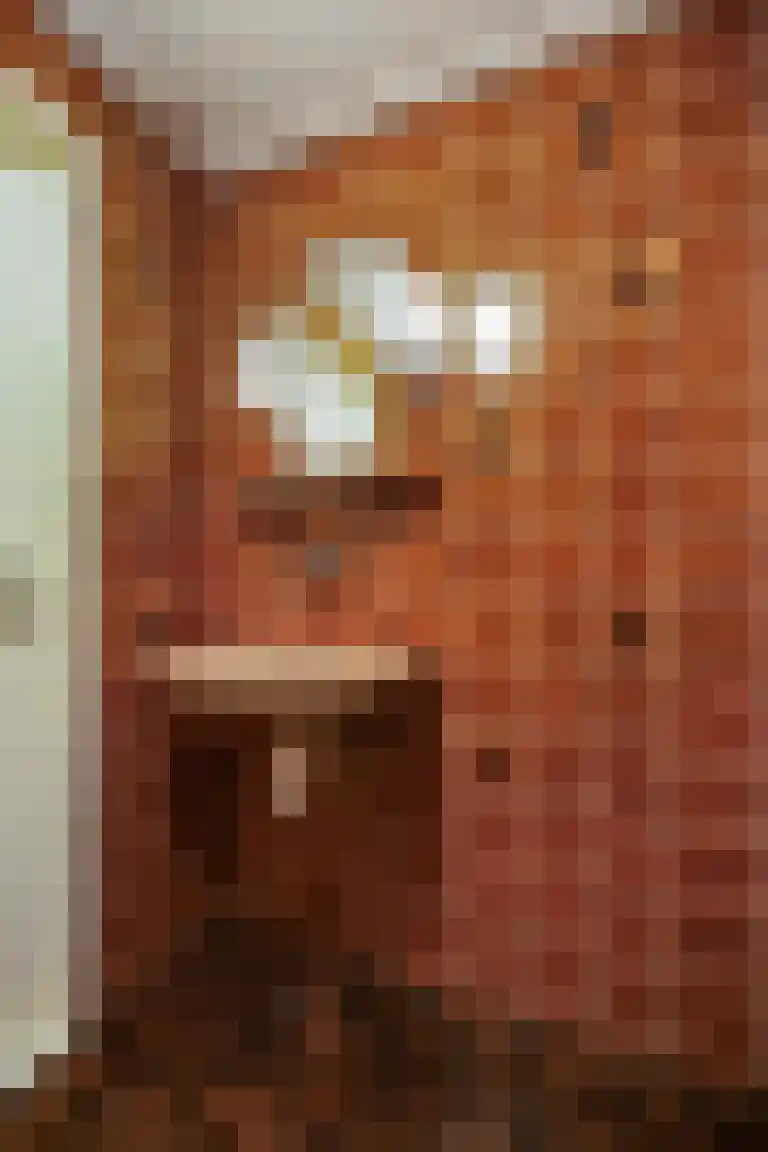 Lemelerveldseweg 36 Heino thumbnail 34