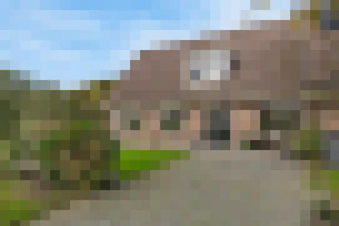 Lemelerveldseweg 36 Heino thumbnail 37