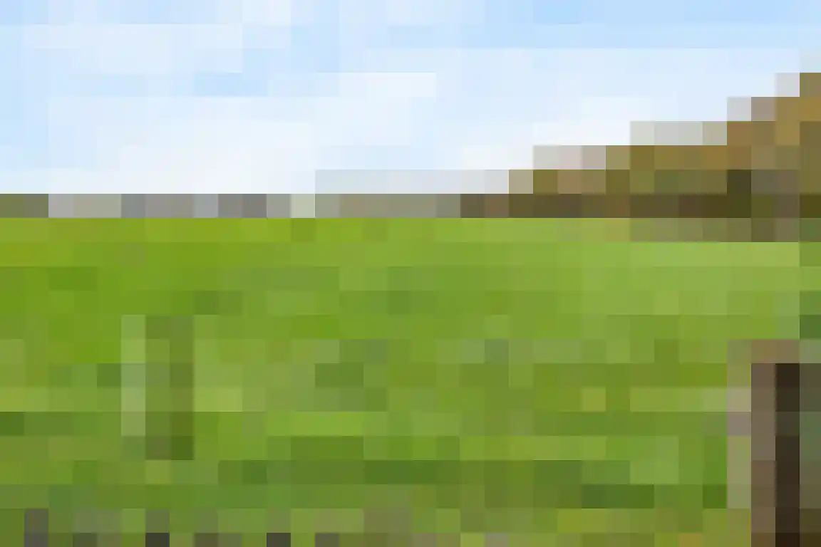 Lemelerveldseweg 36 Heino thumbnail 48