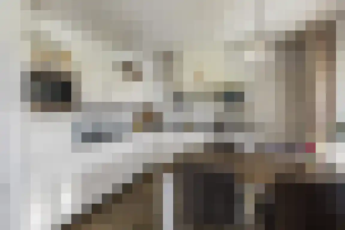 Lemelerveldseweg 36 Heino thumbnail 5