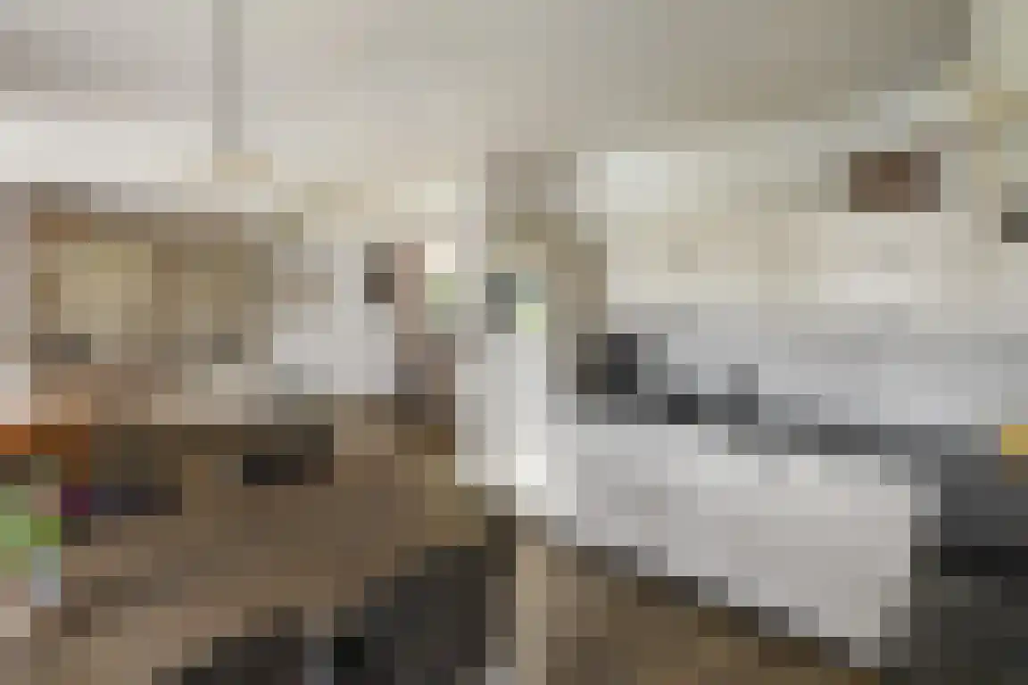 Lemelerveldseweg 36 Heino thumbnail 6