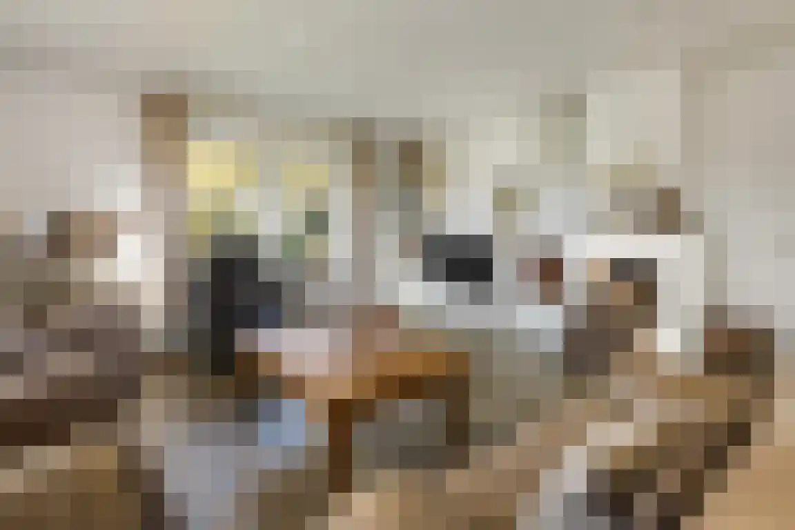 Lemelerveldseweg 36 Heino thumbnail 9