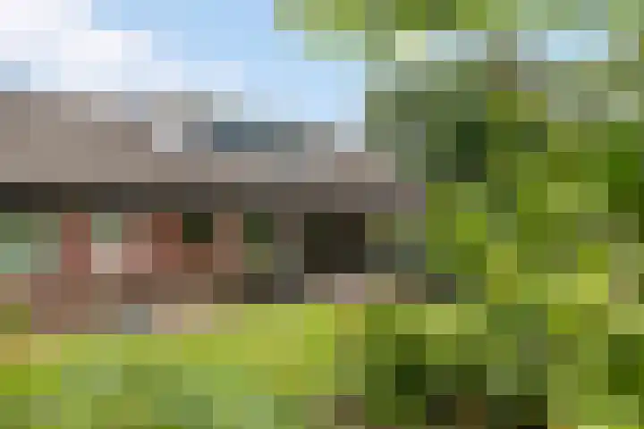 Lemelerveldseweg 57 Heino thumbnail 27