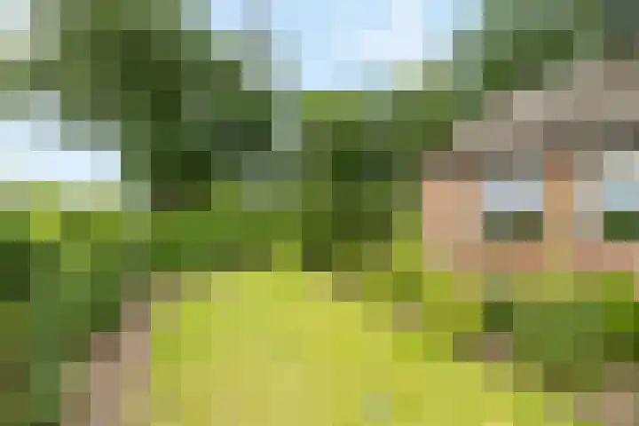 Lemelerveldseweg 57 Heino thumbnail 32