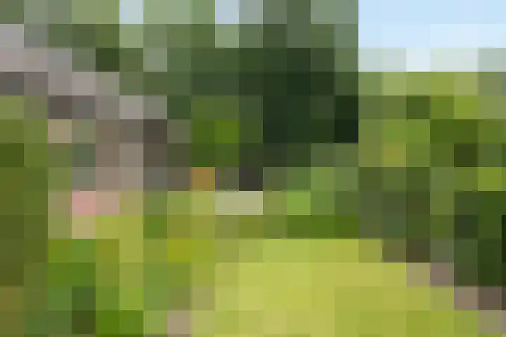 Lemelerveldseweg 57 Heino thumbnail 33