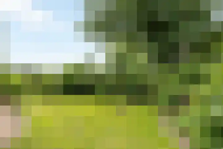 Lemelerveldseweg 57 Heino thumbnail 34
