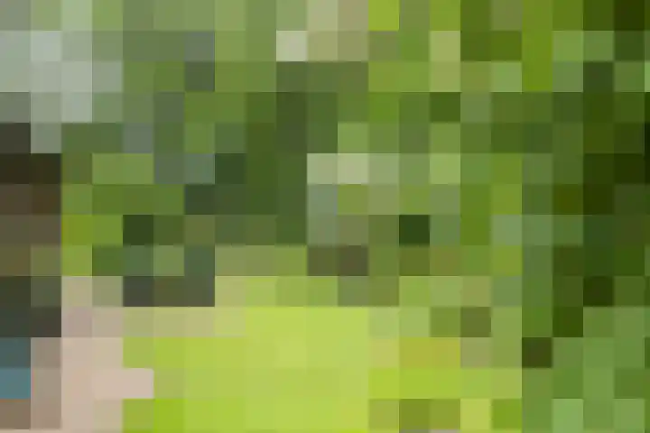 Lemelerveldseweg 57 Heino thumbnail 35