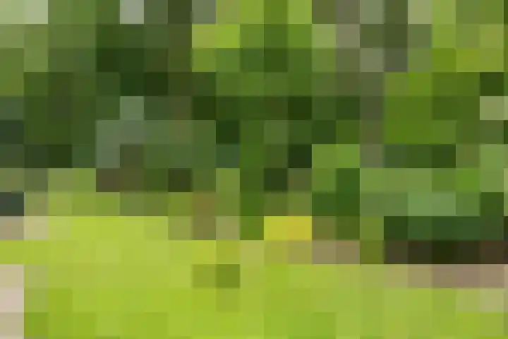 Lemelerveldseweg 57 Heino thumbnail 36