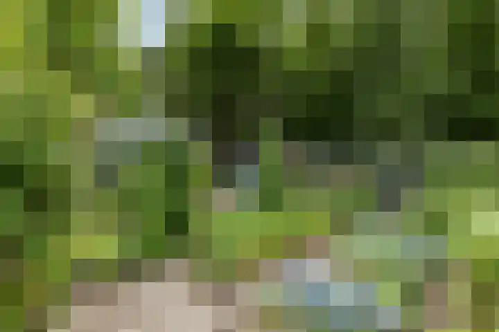 Lemelerveldseweg 57 Heino thumbnail 38