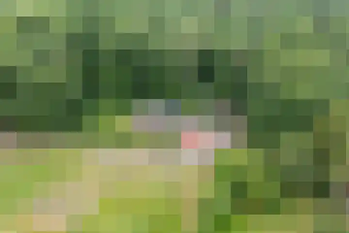 Lemelerveldseweg 57 Heino thumbnail 4
