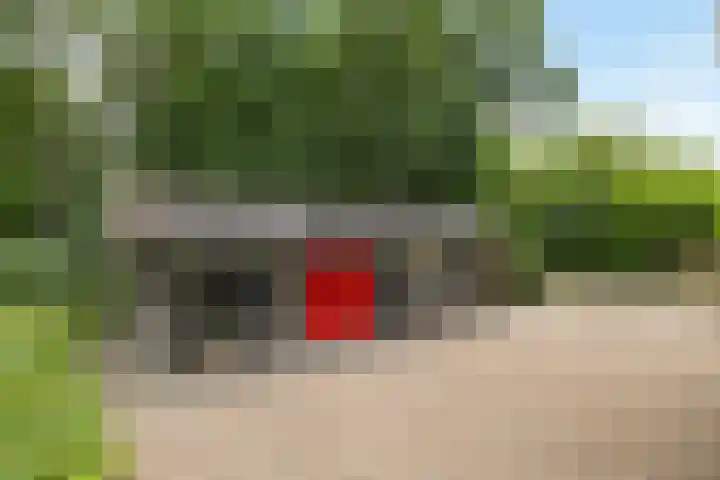 Lemelerveldseweg 57 Heino thumbnail 40