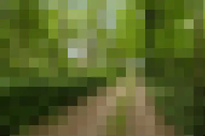 Lemelerveldseweg 57 Heino thumbnail 44