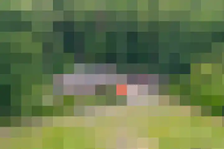 Lemelerveldseweg 57 Heino thumbnail 56