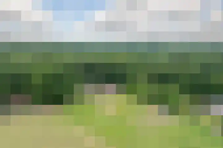 Lemelerveldseweg 57 Heino thumbnail 6