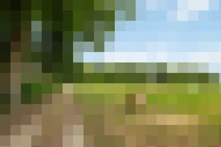 Lemelerveldseweg 57 Heino thumbnail 7