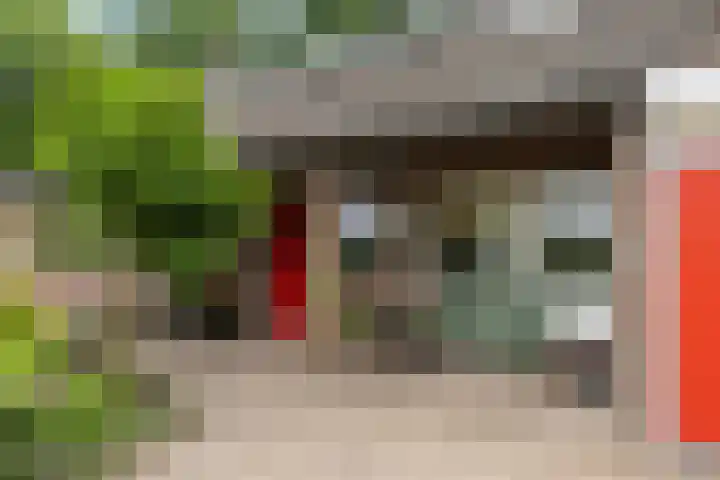 Lemelerveldseweg 57 Heino thumbnail 9