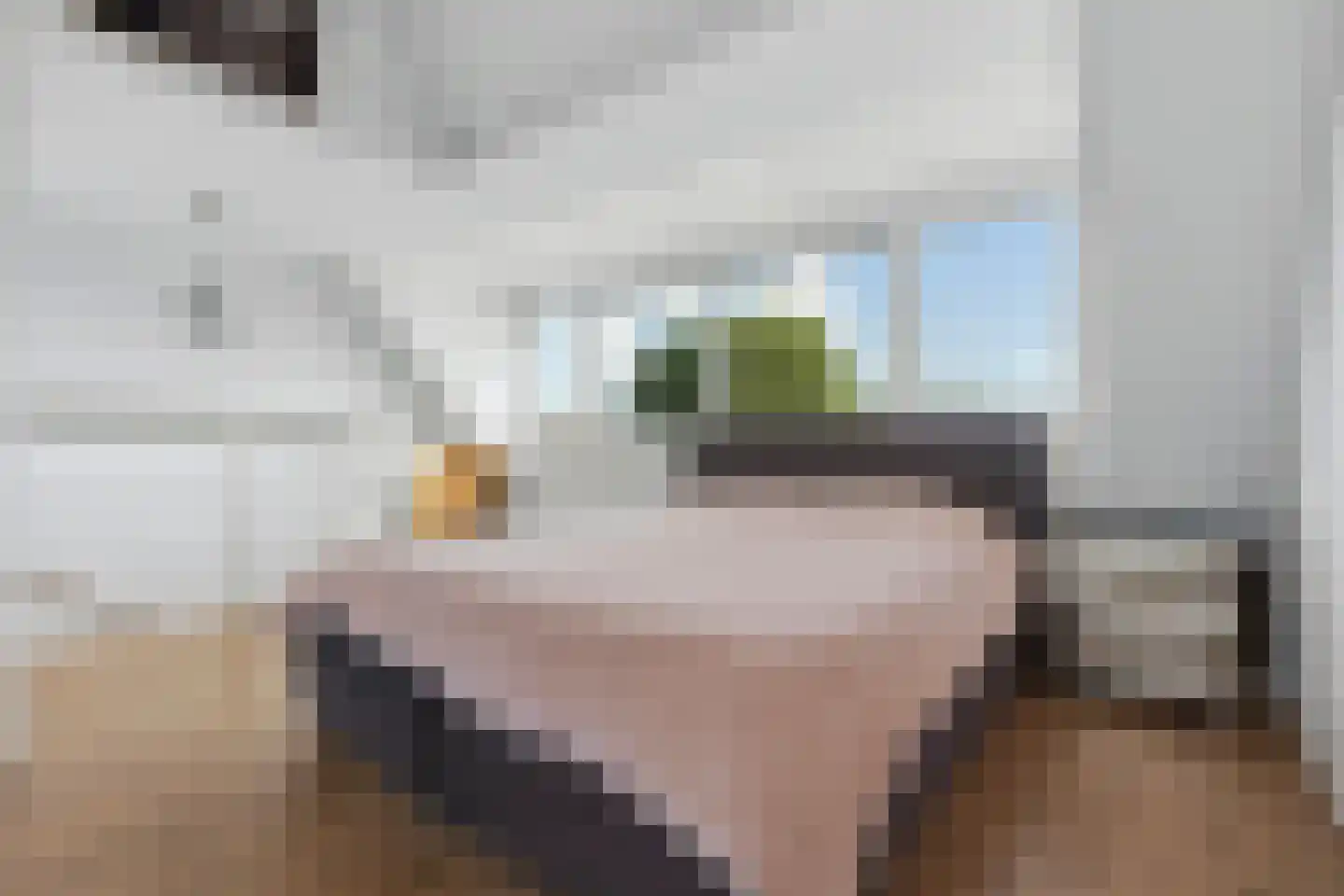 Lemenburg 28 Hoofddorp thumbnail 22