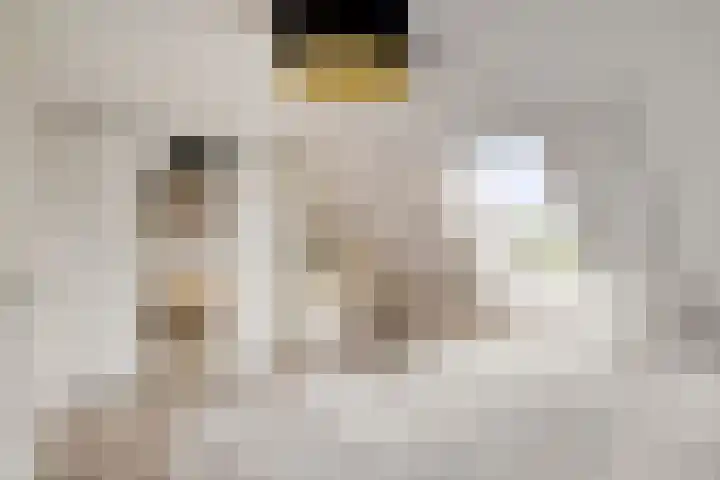 Lemenburg 8 Hoofddorp thumbnail 15