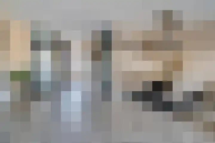Lemenburg 8 Hoofddorp thumbnail 6