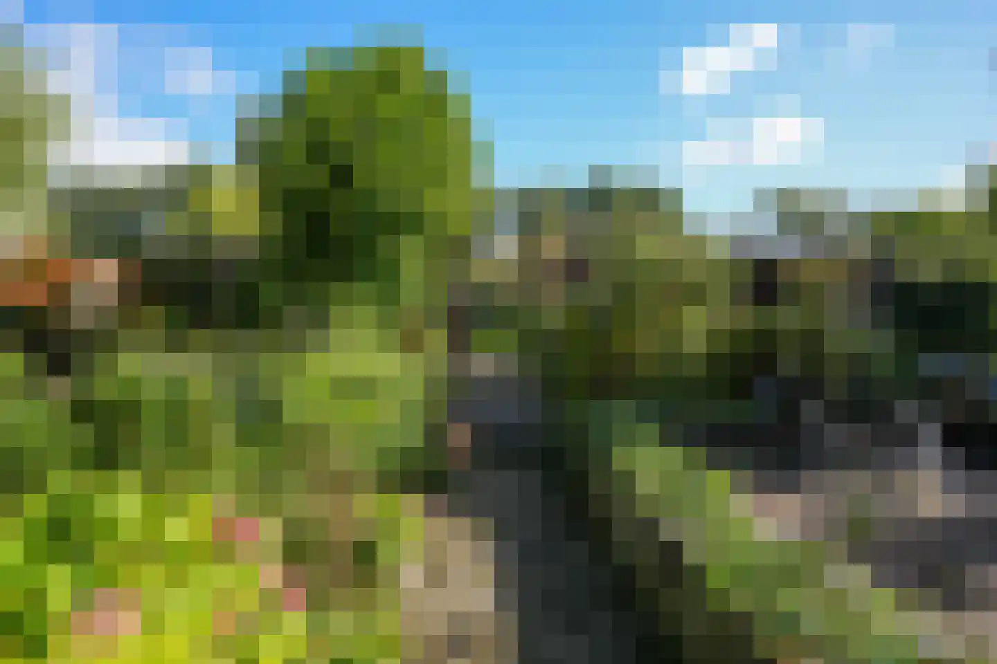 Lemiers-Rijksweg 55 c Lemiers thumbnail 19