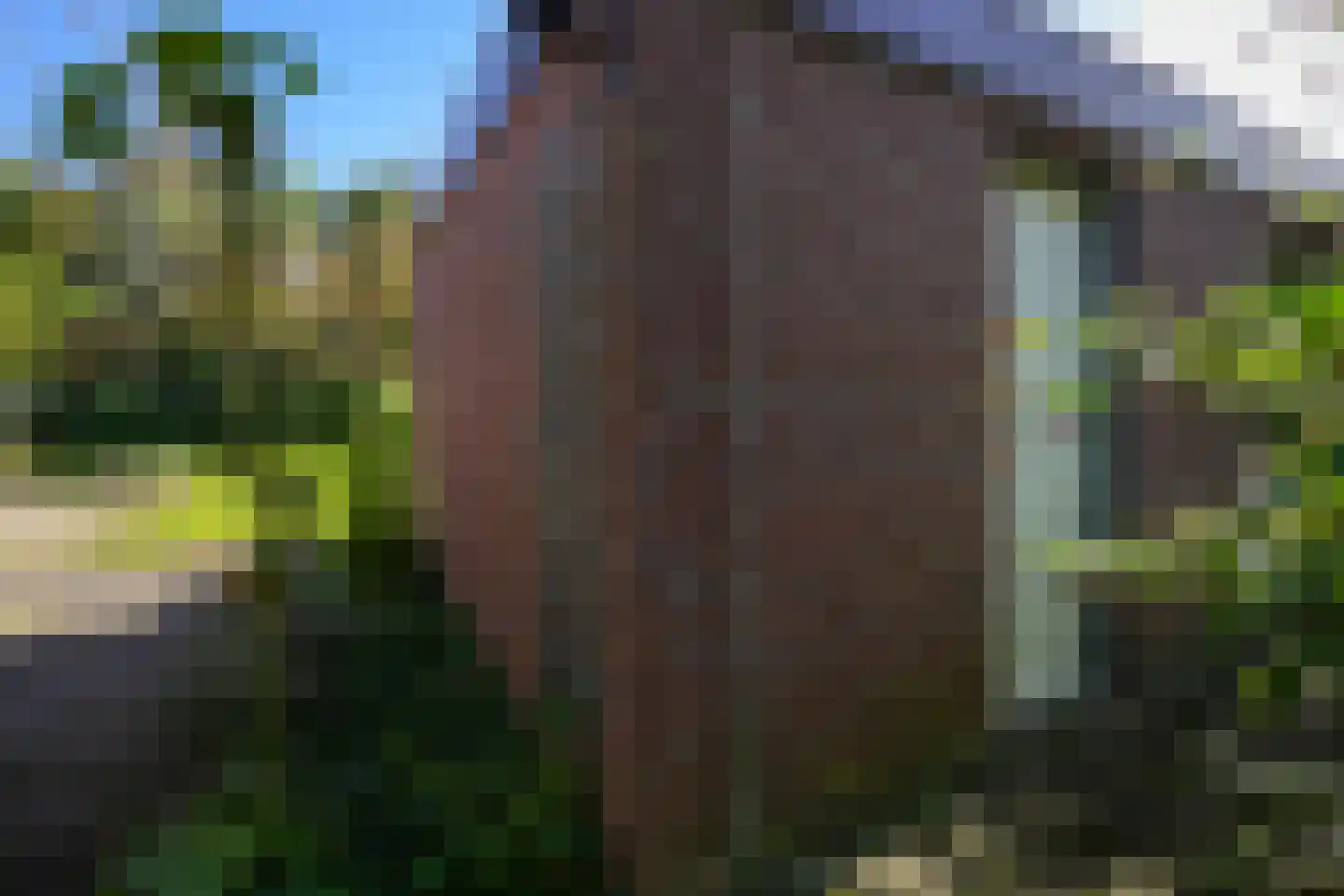 Lemiers-Rijksweg 55 c Lemiers thumbnail 23
