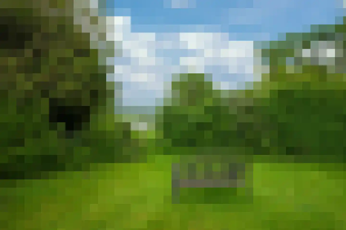 Lemiers-Rijksweg 57 a Lemiers thumbnail 15