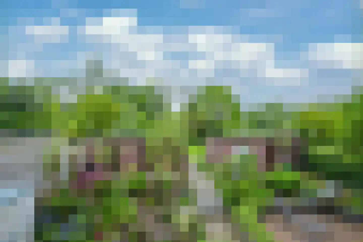 Lemiers-Rijksweg 57 c Lemiers thumbnail 11