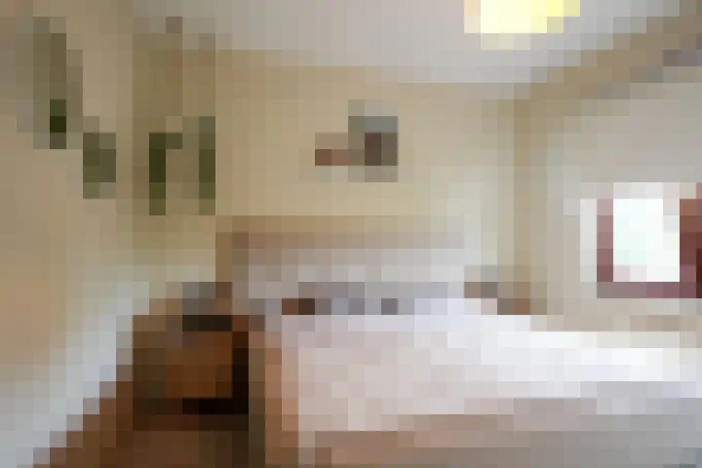 Lemiers-Rijksweg 57 c Lemiers thumbnail 7