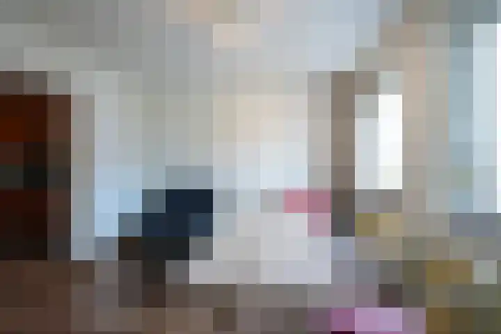 Lemiers-Rijksweg 69 Lemiers thumbnail 10