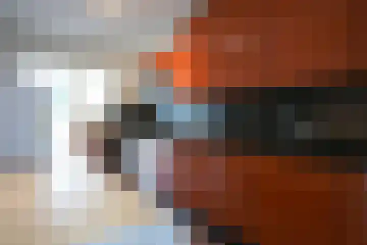 Lemiers-Rijksweg 69 Lemiers thumbnail 12