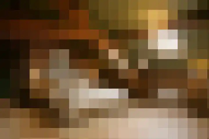 Lemiers-Rijksweg 69 Lemiers thumbnail 16