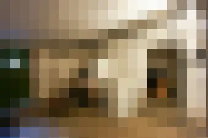Lemiers-Rijksweg 69 Lemiers thumbnail 18