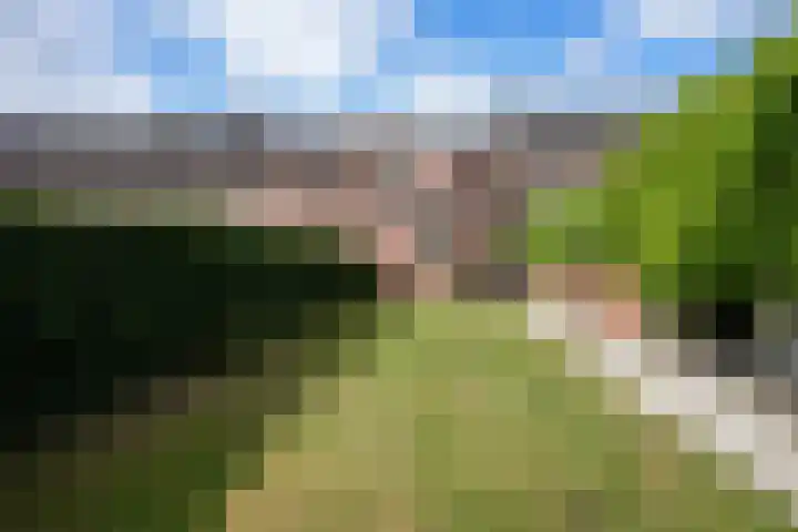 Lemiers-Rijksweg 69 Lemiers thumbnail 20