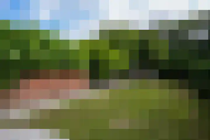 Lemiers-Rijksweg 69 Lemiers thumbnail 21