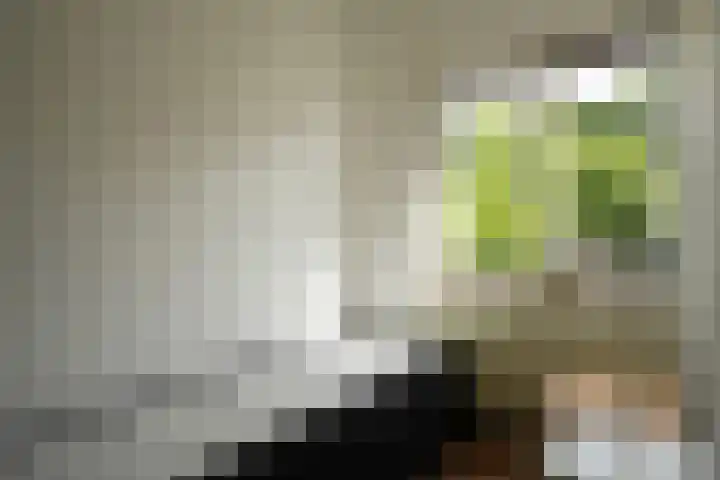 Lemiers-Rijksweg 69 Lemiers thumbnail 7
