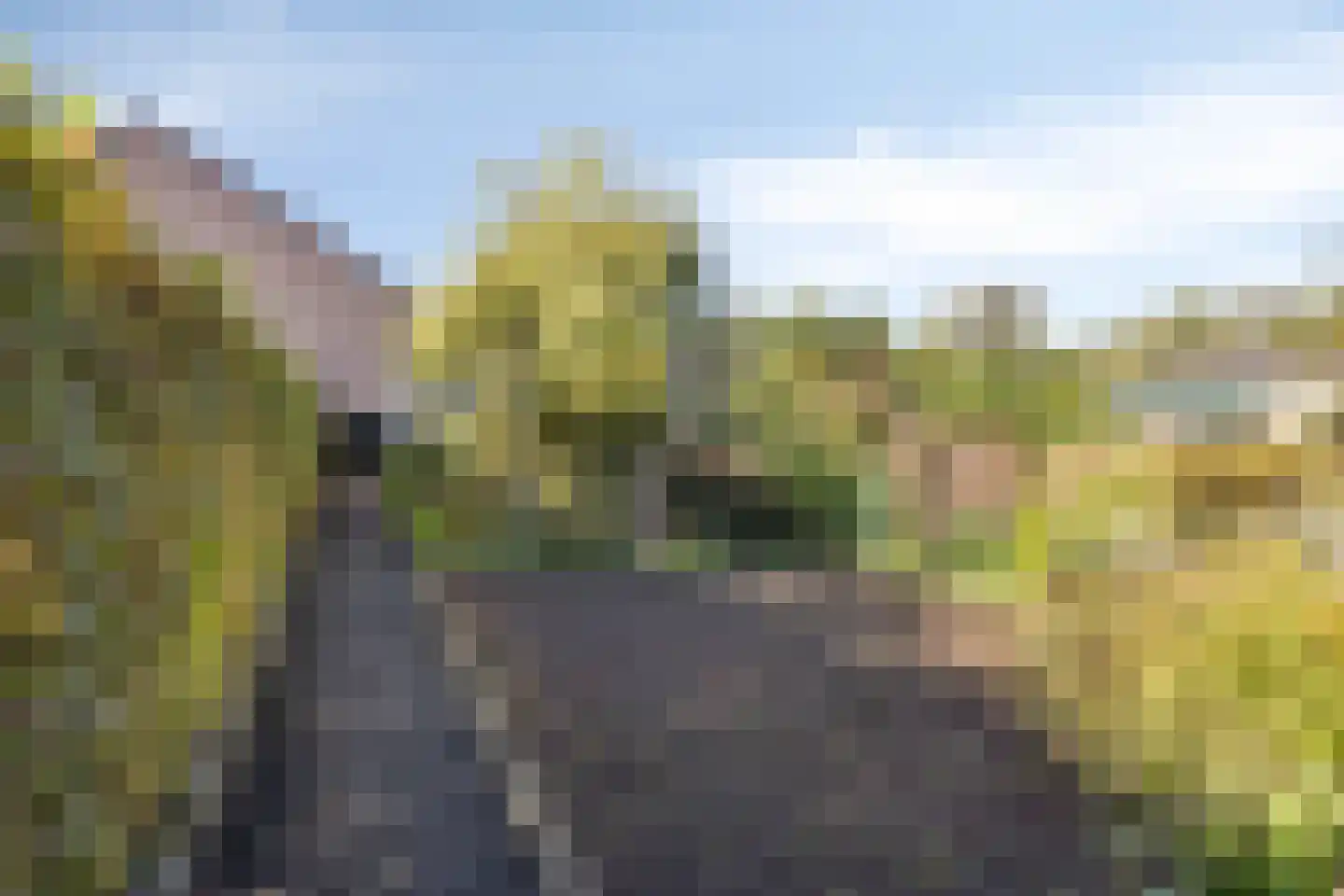 Lemiers-Rijksweg 92 Lemiers thumbnail 22