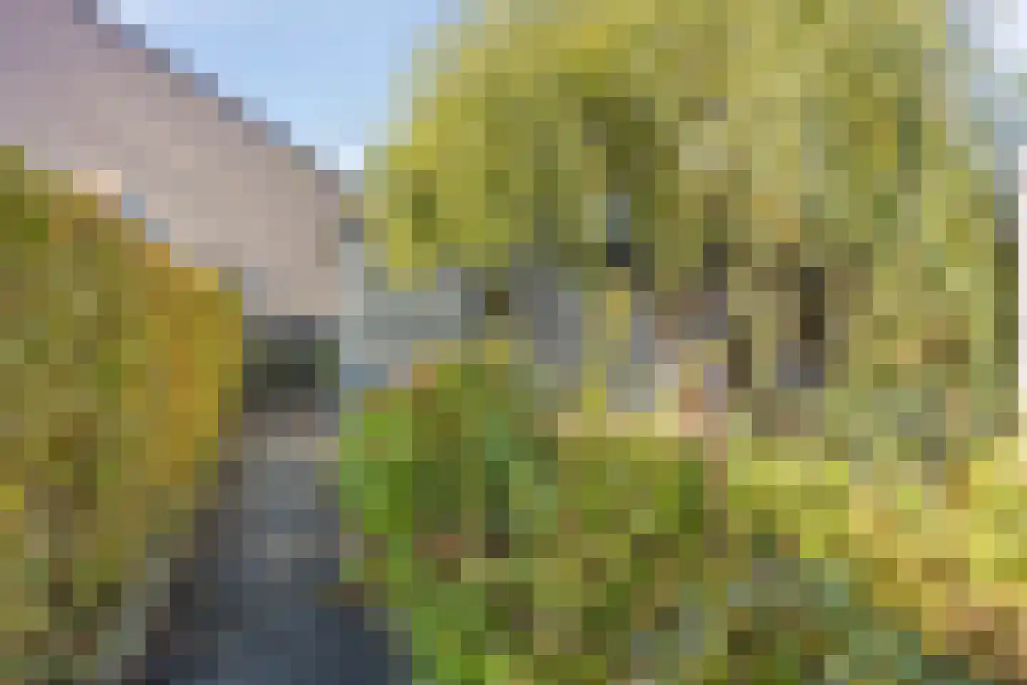 Lemiers-Rijksweg 92 Lemiers thumbnail 23