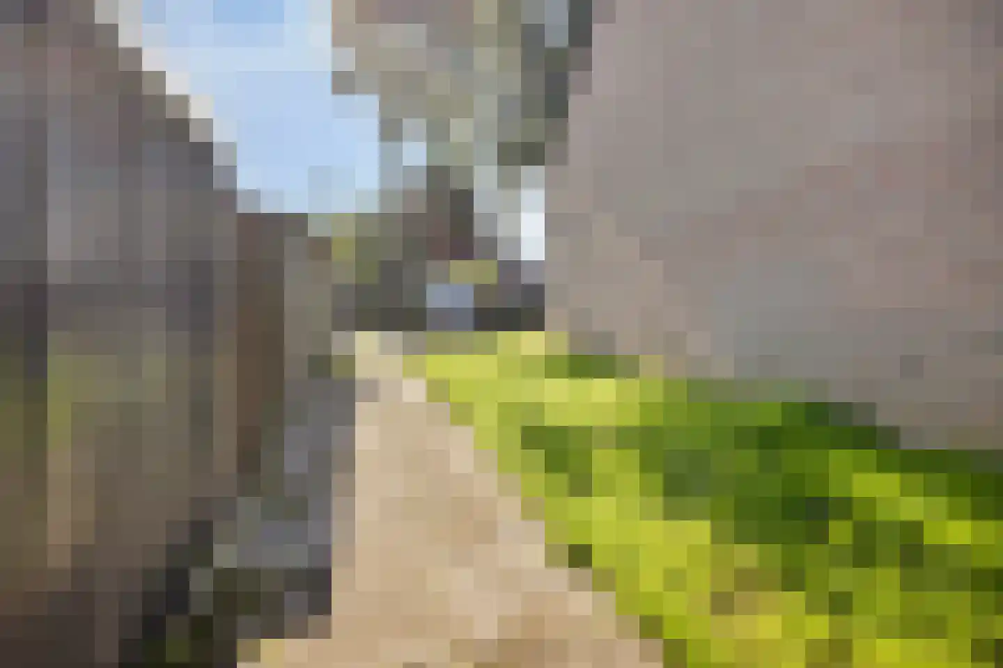 Lemiers-Rijksweg 92 Lemiers thumbnail 24