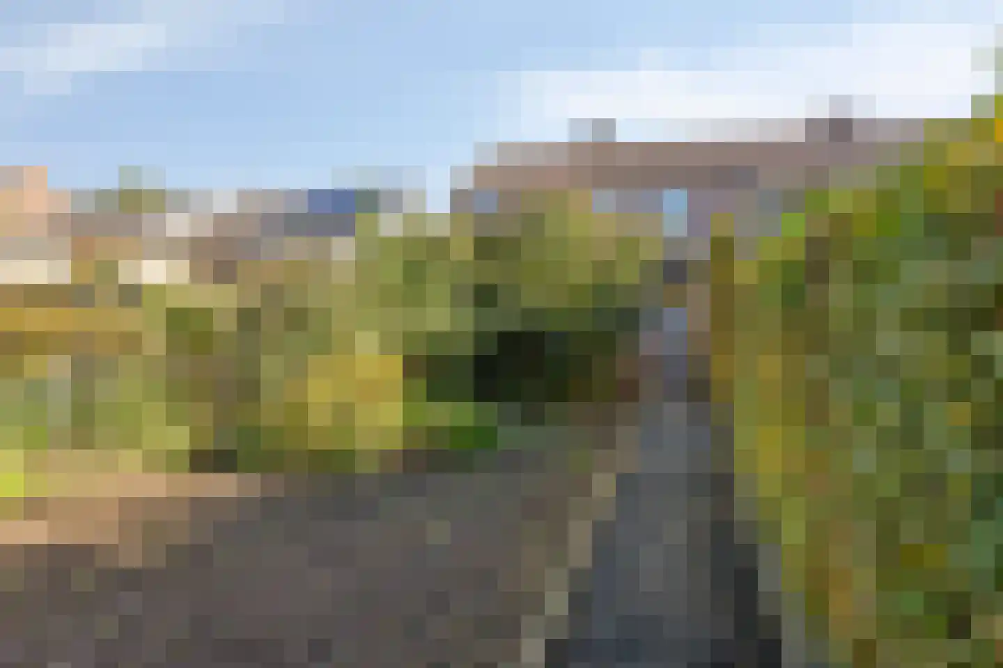 Lemiers-Rijksweg 92 Lemiers thumbnail 25
