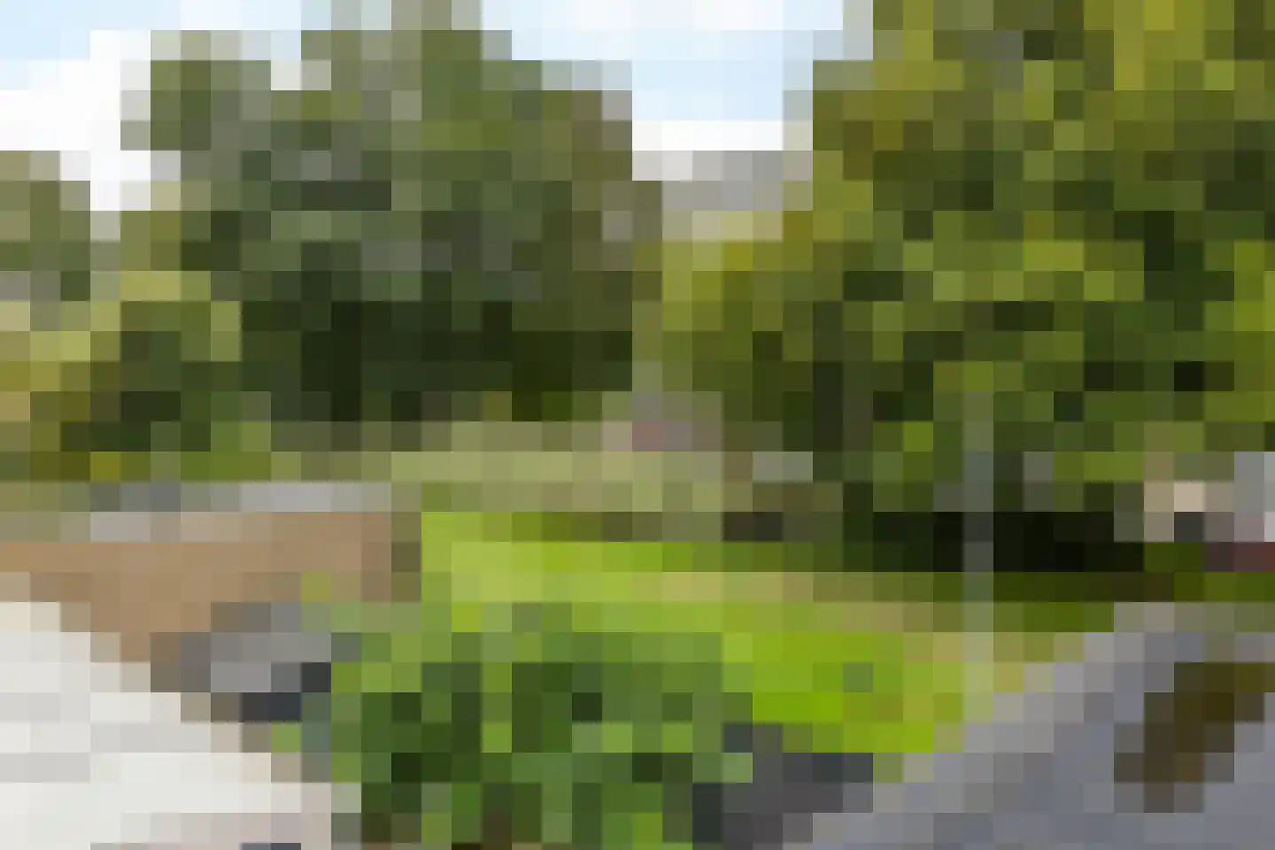 Lemmender 110 Brunssum thumbnail 20
