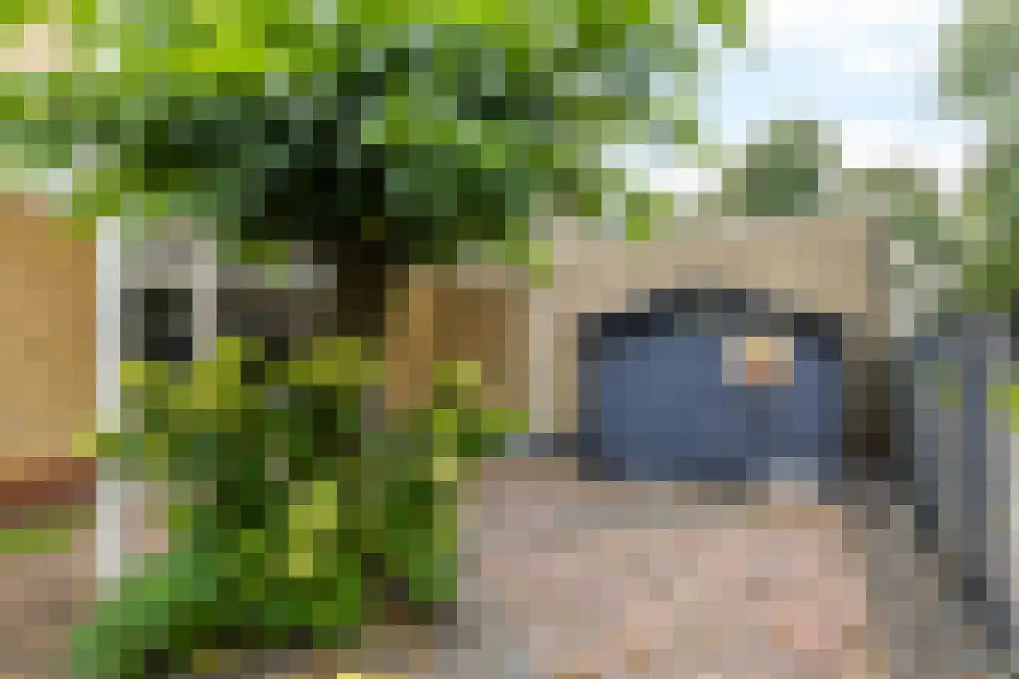 Lemmender 110 Brunssum thumbnail 26