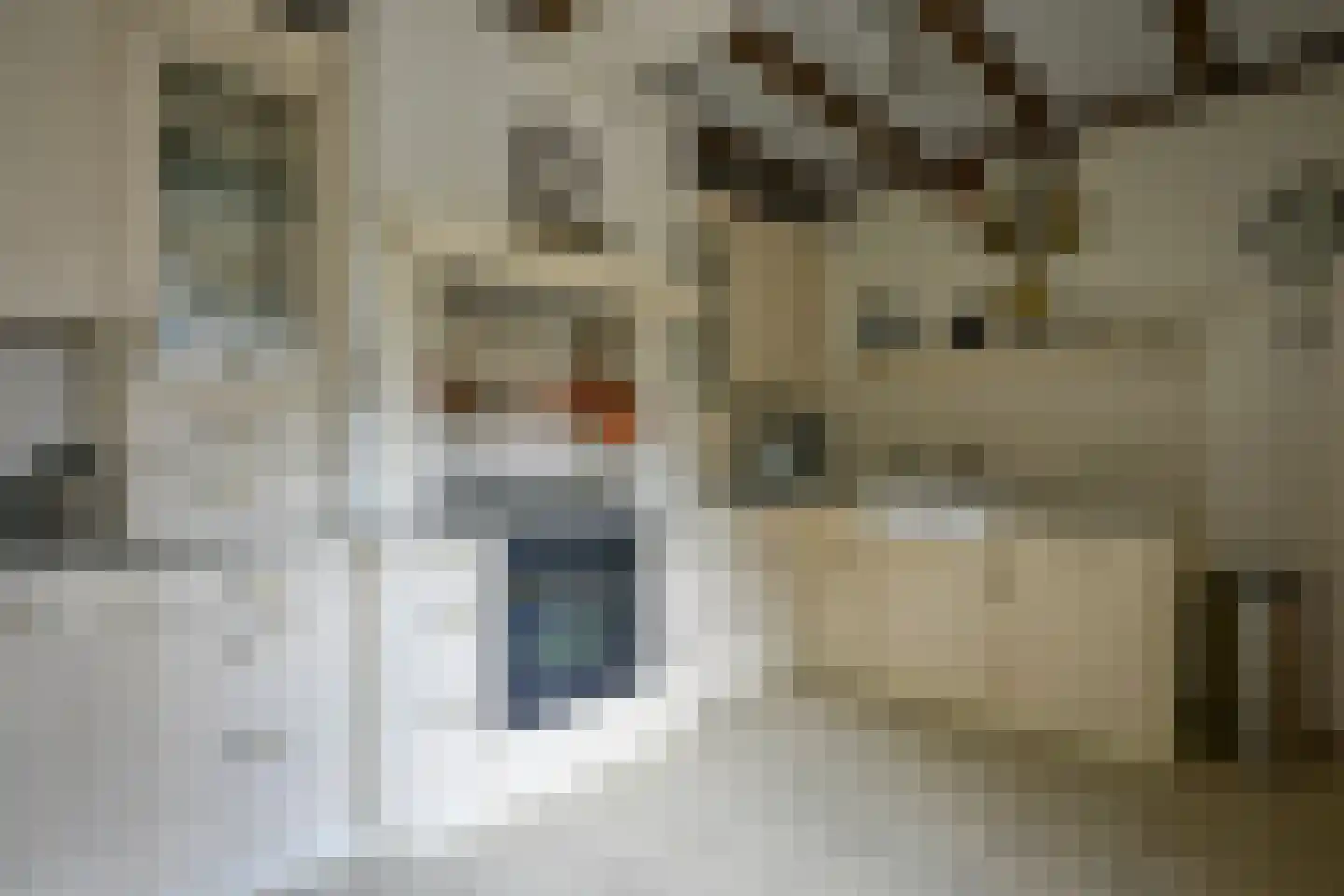 Lemmender 18 Brunssum thumbnail 4