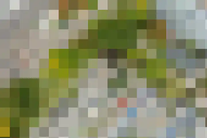 Lemmender 88 Brunssum thumbnail 22