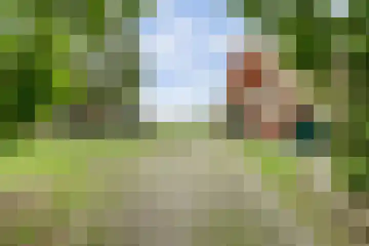 Lemmenesweg 2 Winterswijk Meddo thumbnail 4