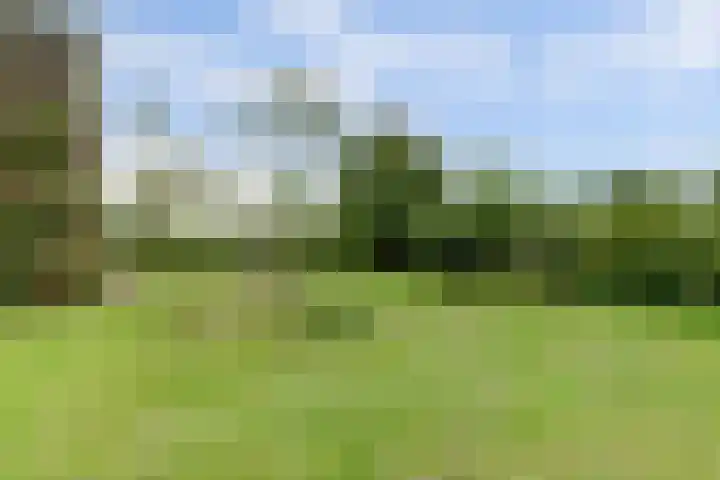 Lemmenesweg 2 Winterswijk Meddo thumbnail 44