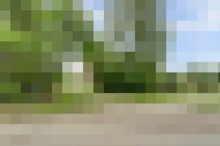 Lemmenesweg 2 Winterswijk Meddo thumbnail 47