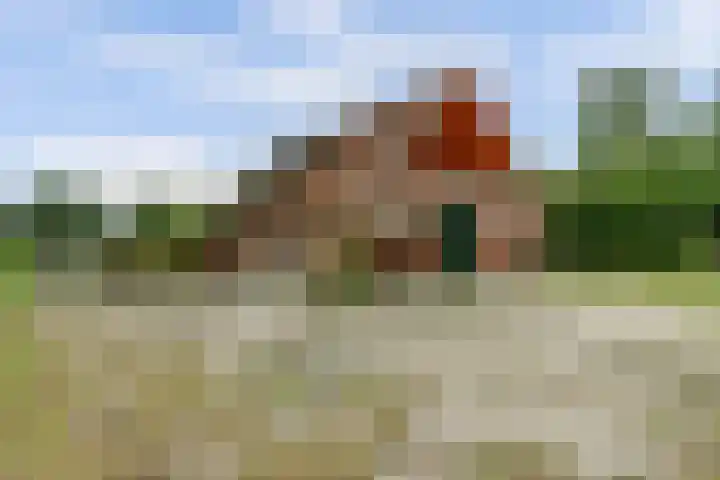 Lemmenesweg 2 Winterswijk Meddo thumbnail 5