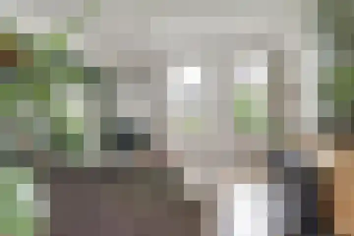 Lemmenesweg 2 Winterswijk Meddo thumbnail 8