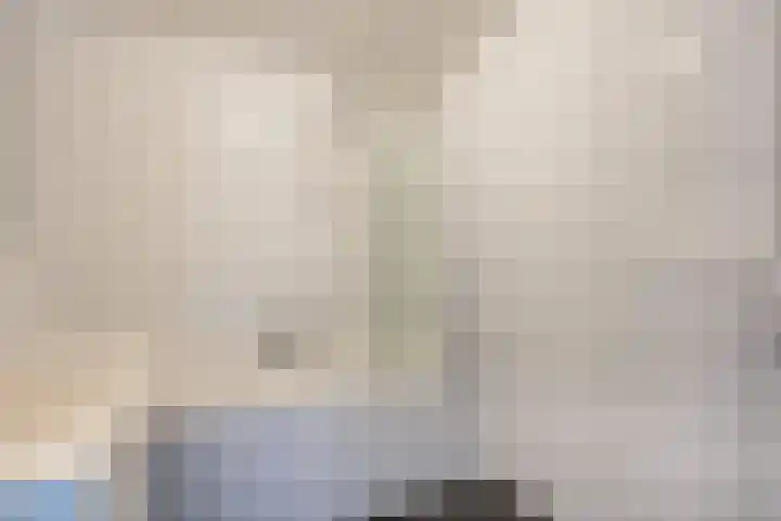 Lemmenhoek 18 Ospel thumbnail 26