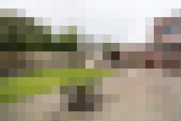 Lemmenhoek 18 Ospel thumbnail 35